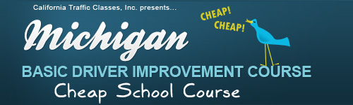 Michigan Online Basic Driver Improvement Course